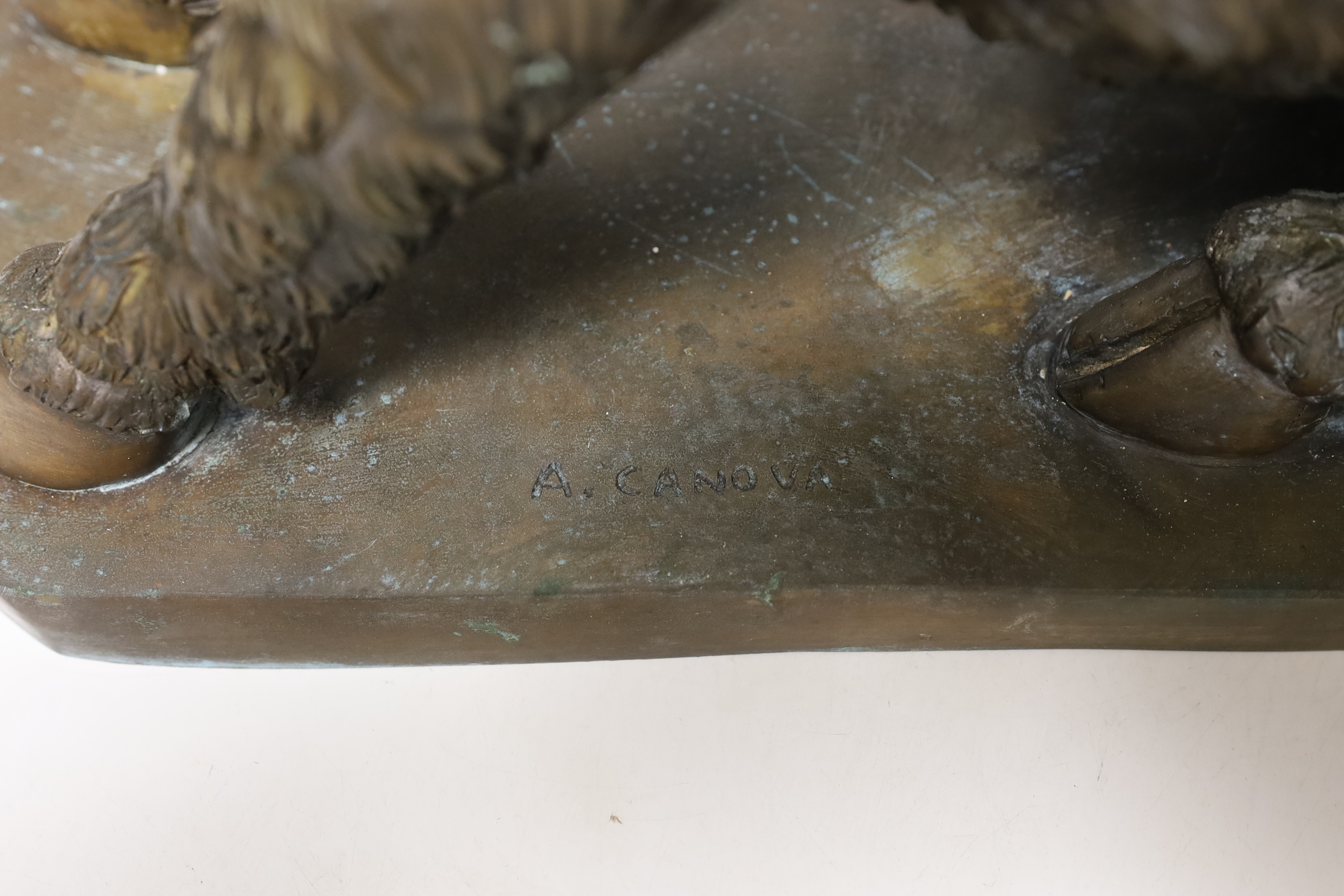 A large bronze model of a boar after Antonio Canova, 46cm high